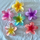 Hawaiian Hair Clips