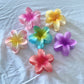 Hawaiian Hair Clips