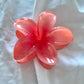 Hawaiian Hair Clips