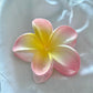 Hawaiian Hair Clips